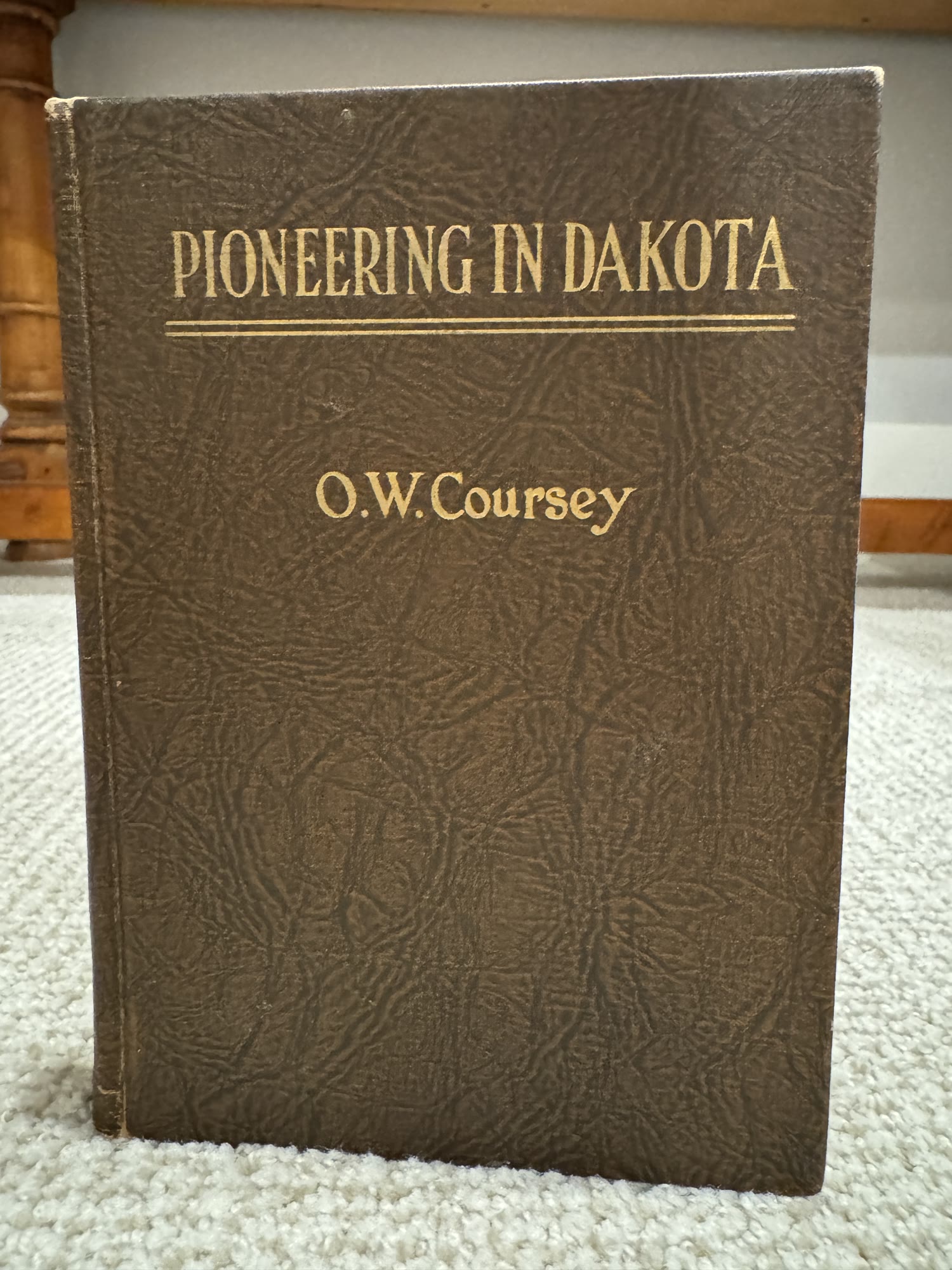 Pioneering in Dakota