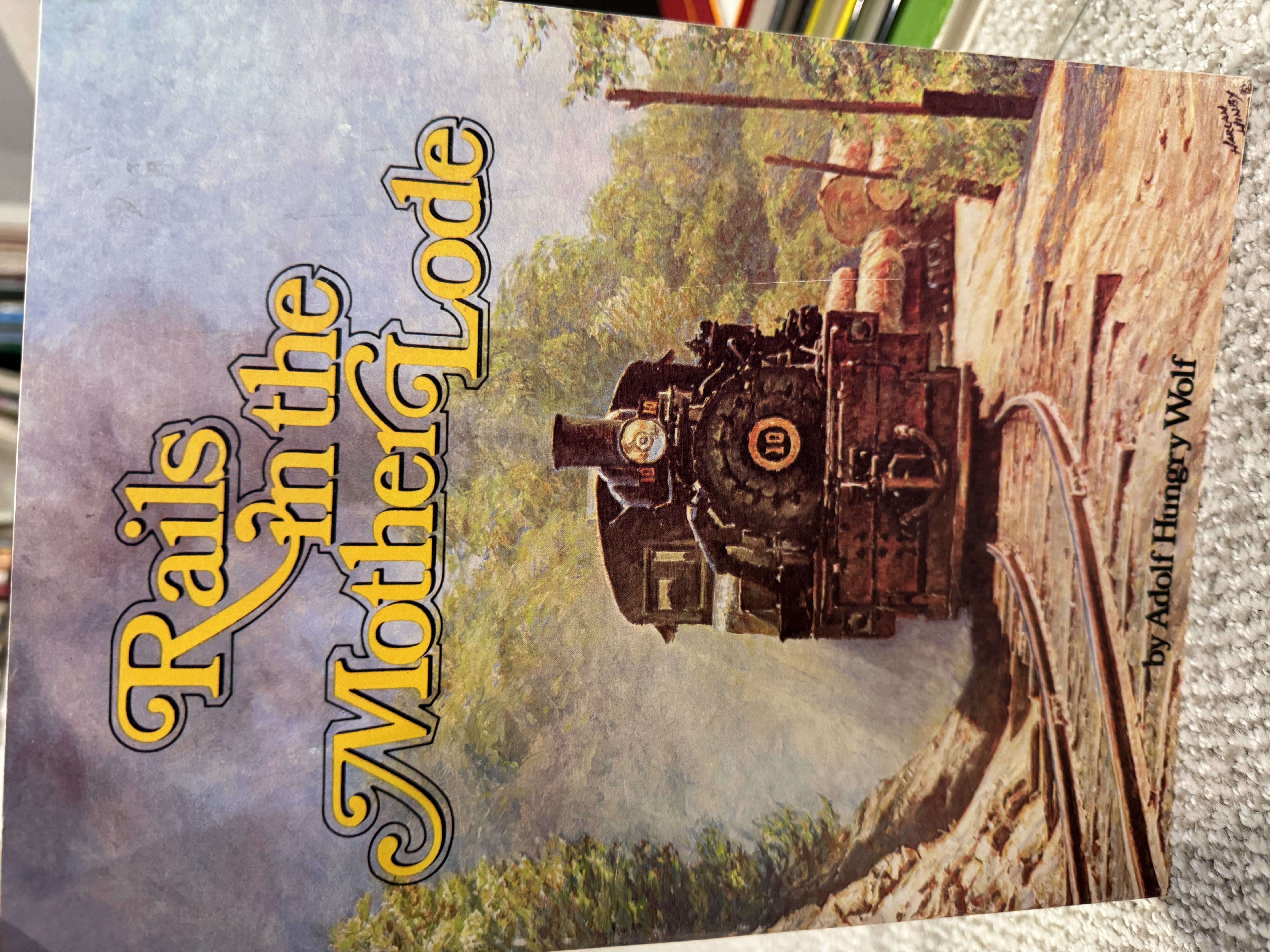 Rails in the Mother Lode