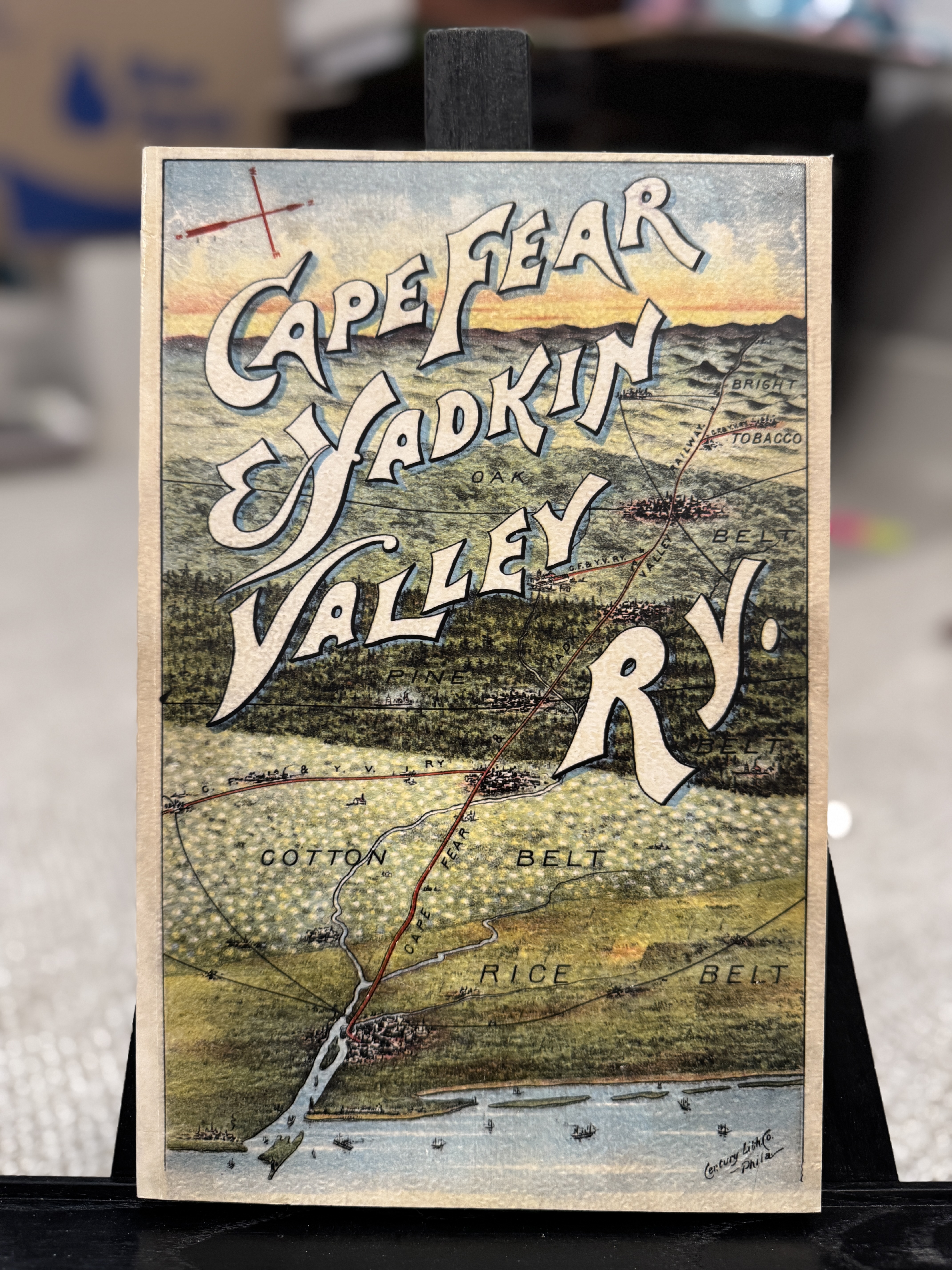 The Cape Fear Yadkin Valley Railway